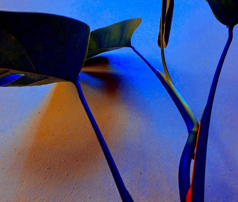 Photograph by Станислав Ситников