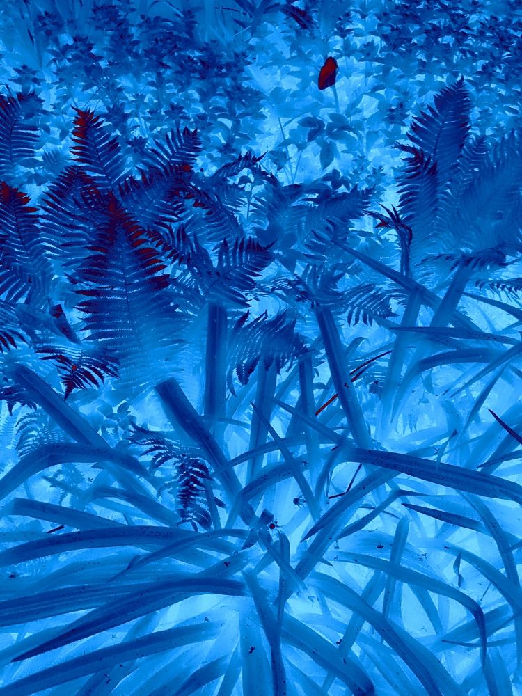 Photograph by Станислав Ситников