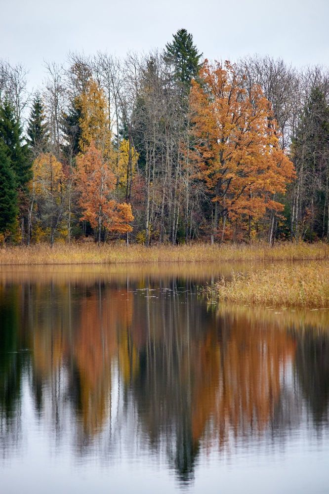 Photograph by Иван Бондаренко