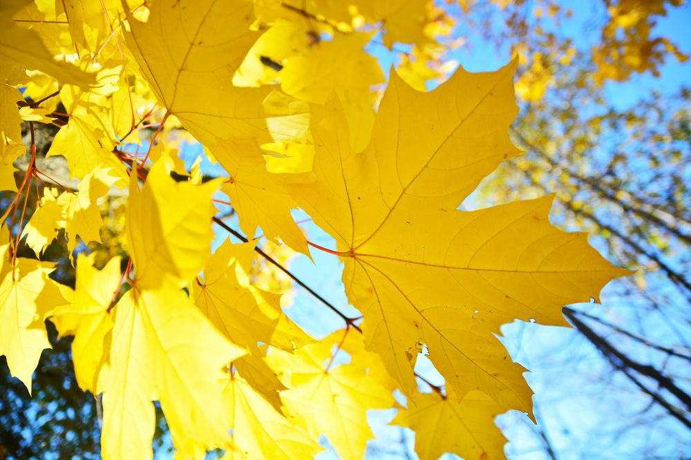 Photograph by Andrey