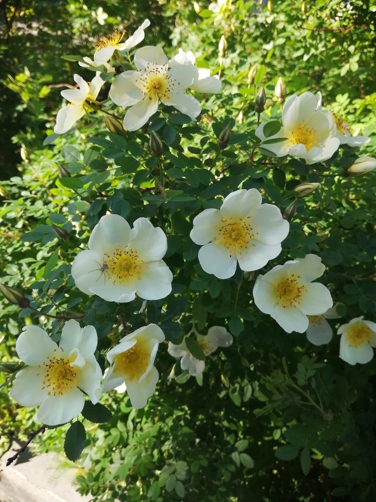 Photograph by Наталия