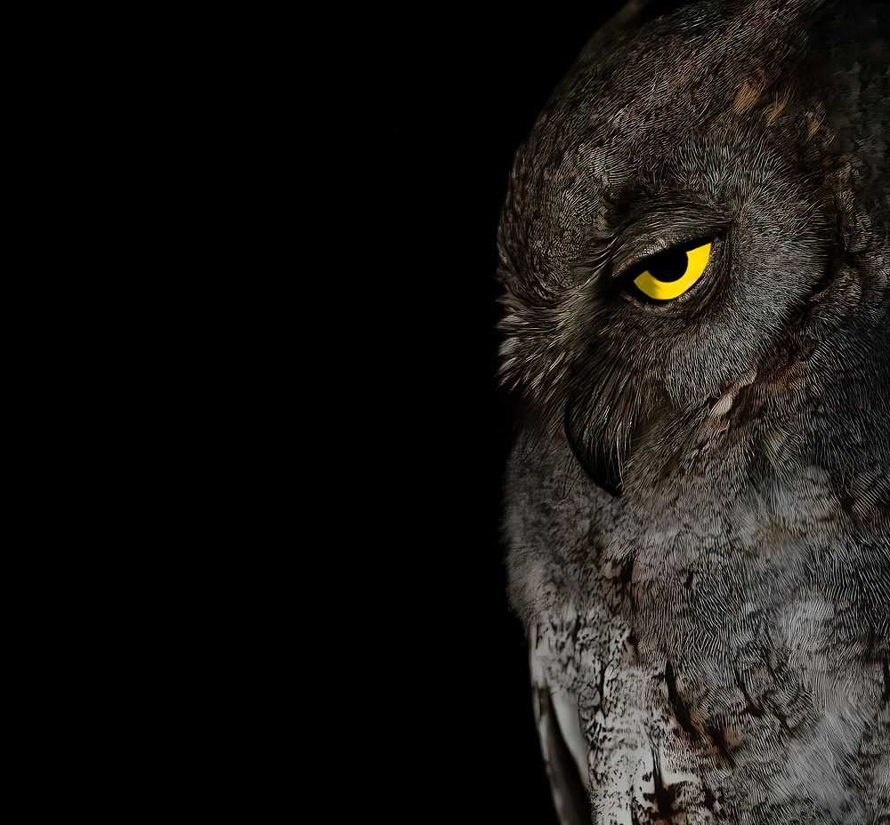 Фотография автора Paul Manjooran