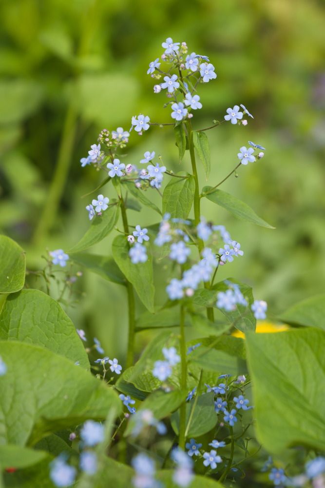 Photograph by Башлаев Константин