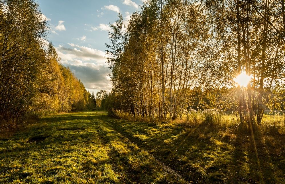 Photograph by Андрей Папанов