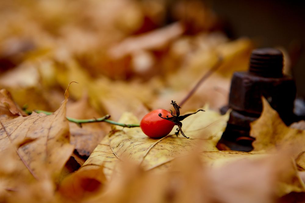 Photograph by Голованов Николай