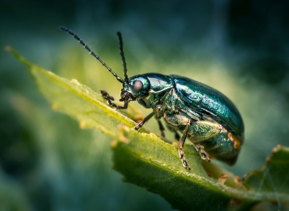 Фотография автора stéphane gonzalez