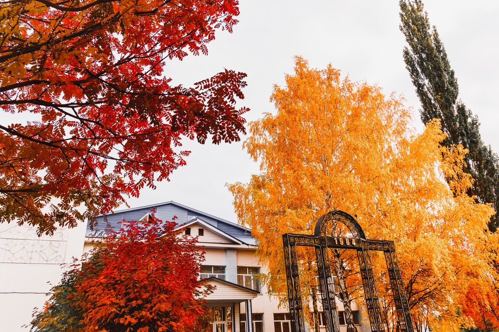 Photograph by Василий Лазарев