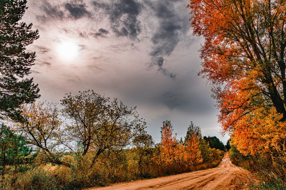 Photograph by Василий Лазарев