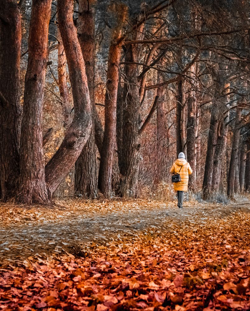 Photograph by Василий Лазарев