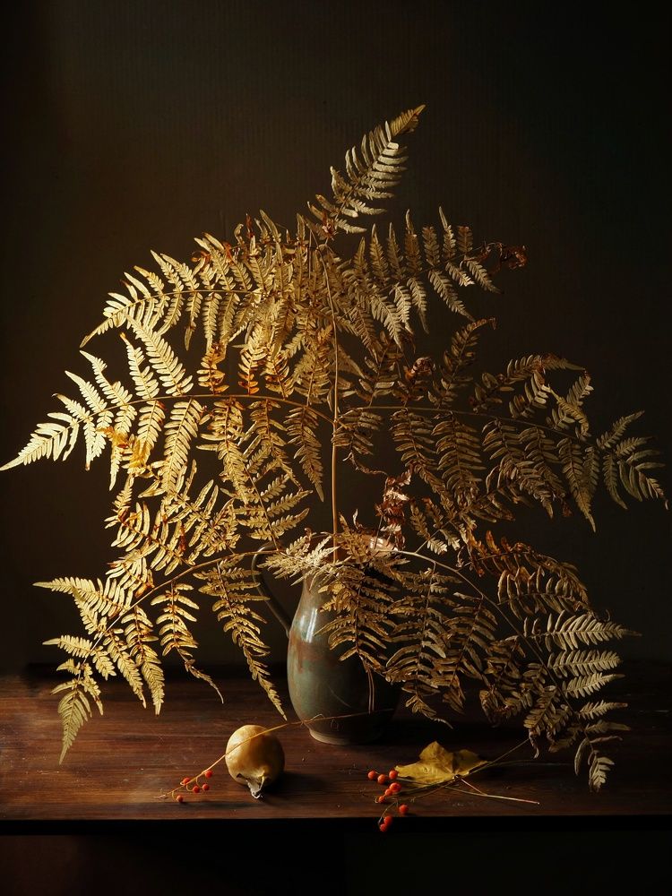 Photograph by Екатерина