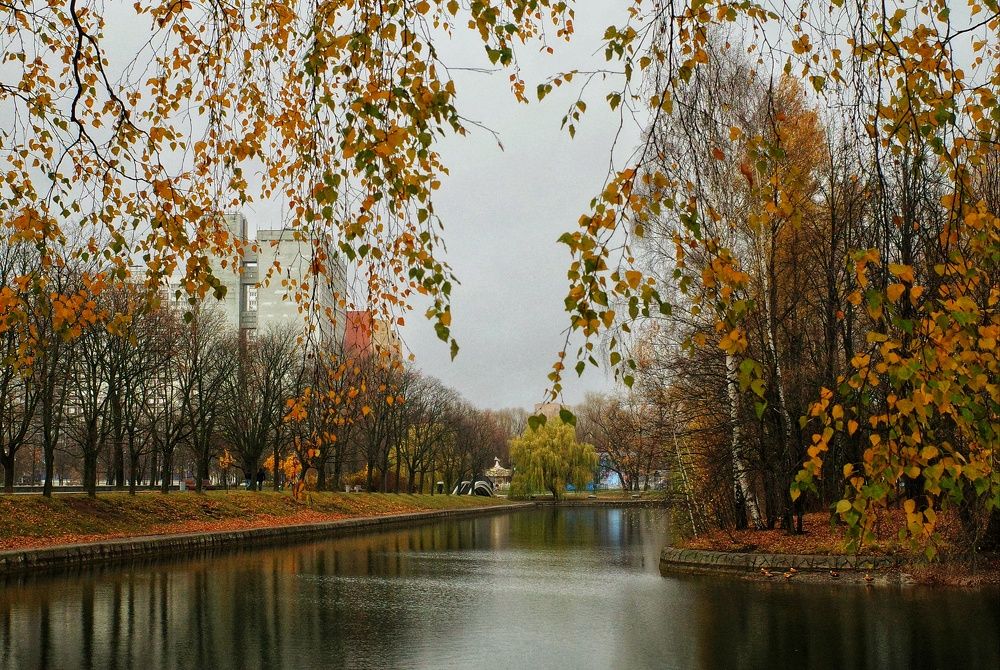 Photograph by Алла Никушкина