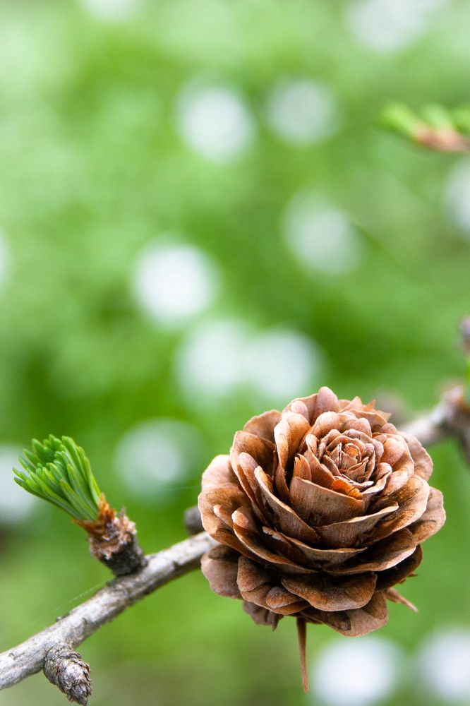 Фотография автора Варвара