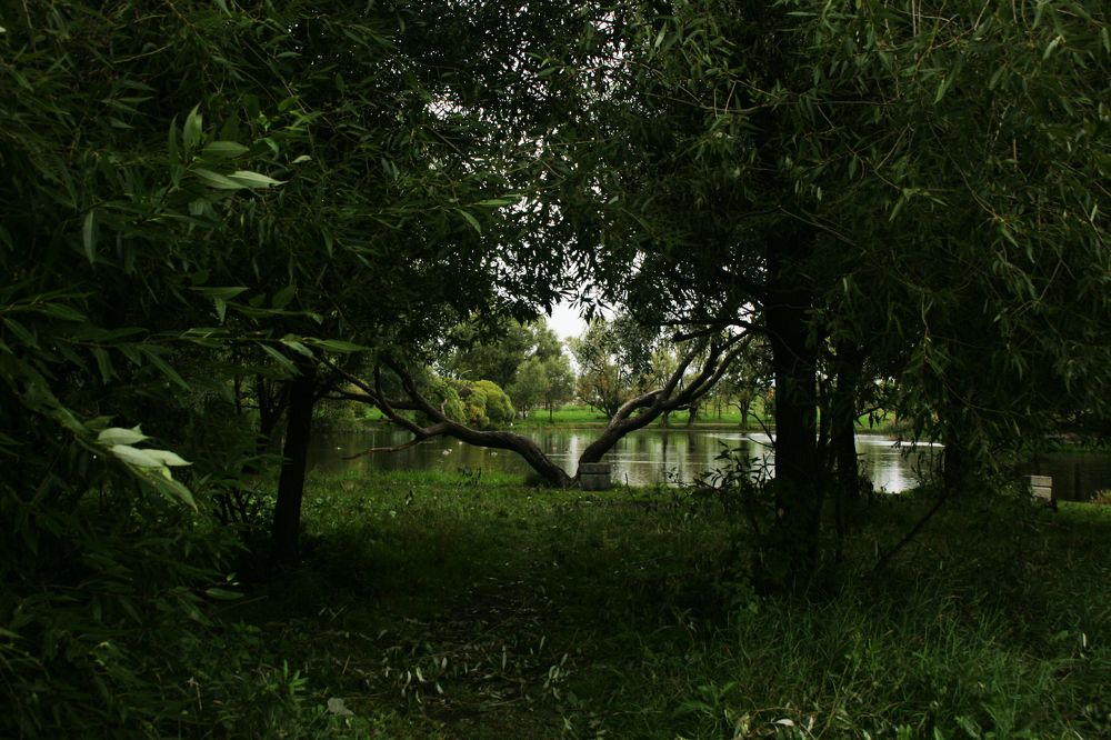 Фотография автора Варвара