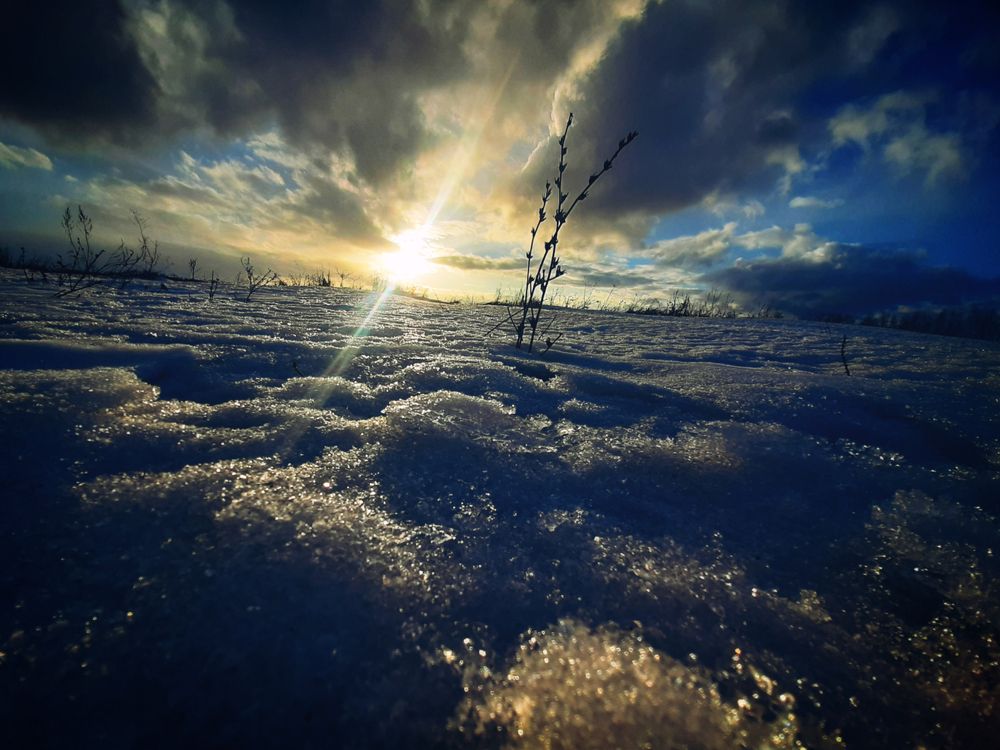 Photograph by Елизавета Карюченко