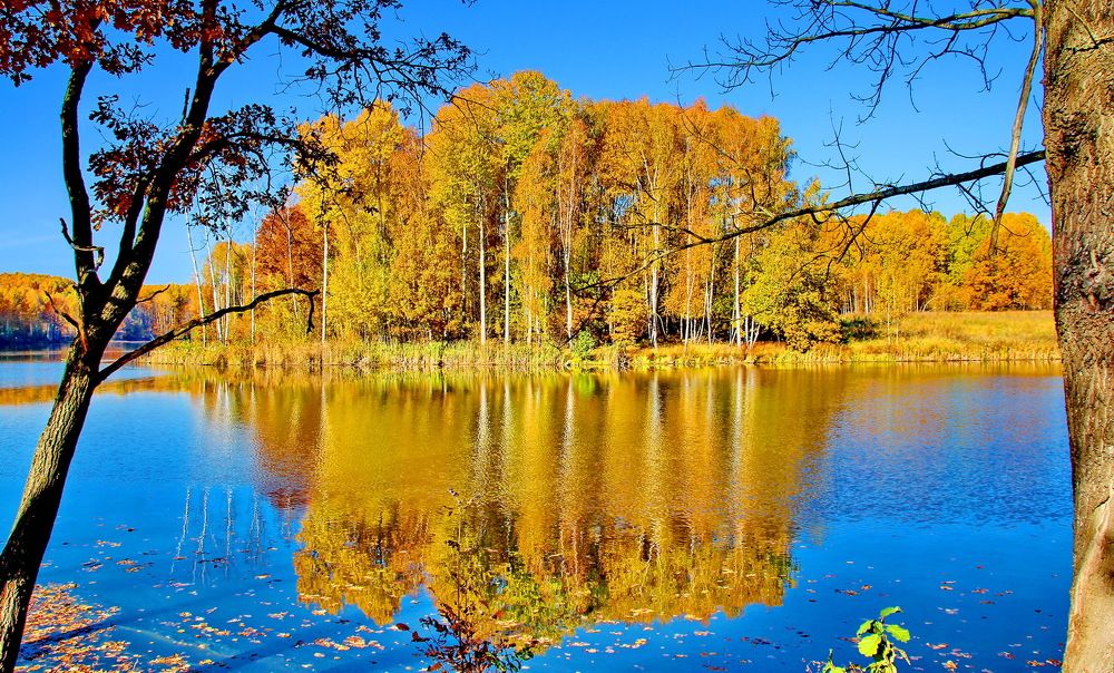 Photograph by Виталий Симоненков