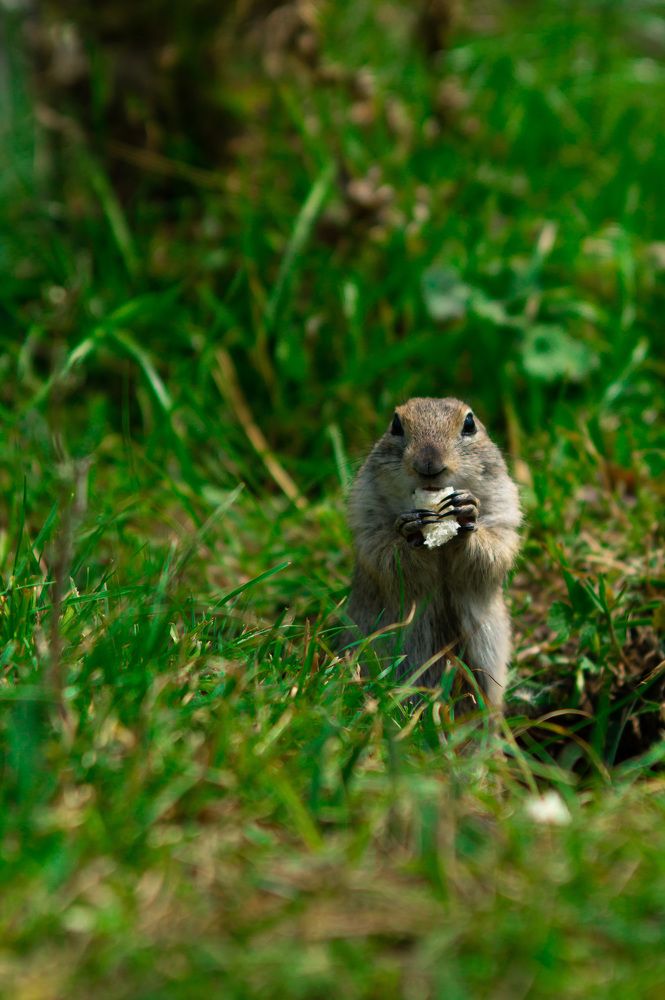 Photograph by Александрина Маринова
