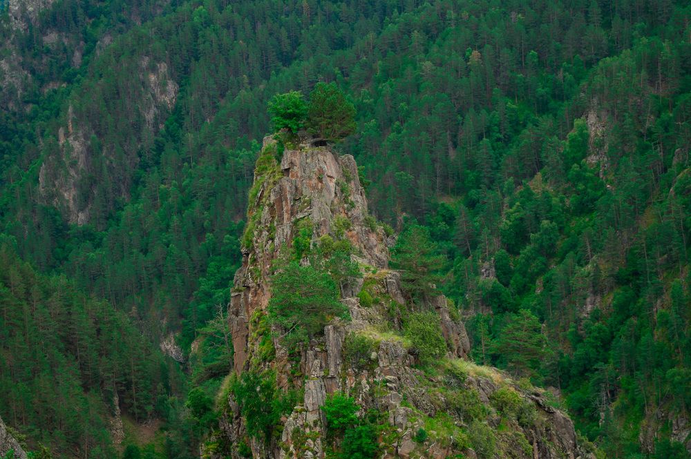 Photograph by Александрина Маринова