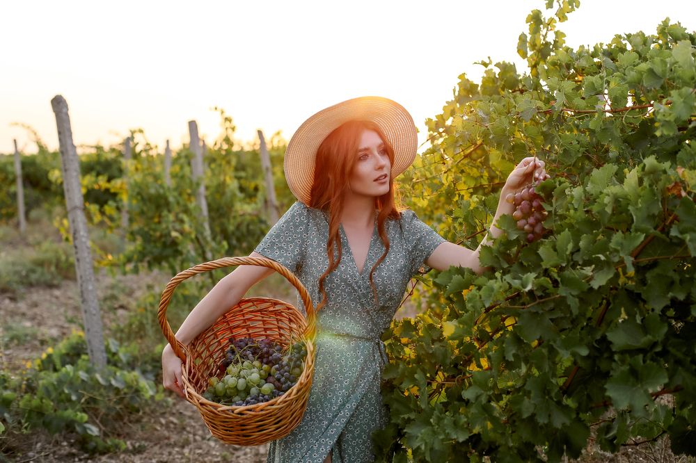 Photograph by Алена Клипач