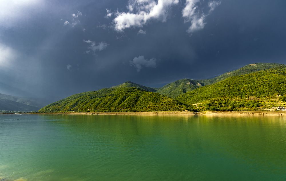 Photograph by Alex Kalpus