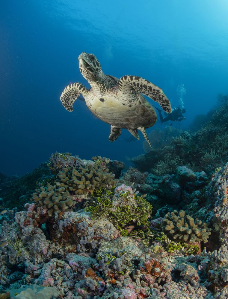 Photograph by Димитрий Евтушик