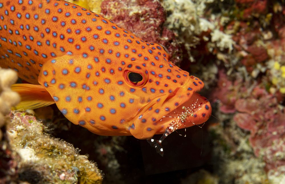 Photograph by Димитрий Евтушик