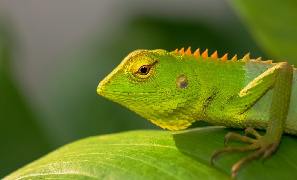 Фотография автора Paul Manjooran