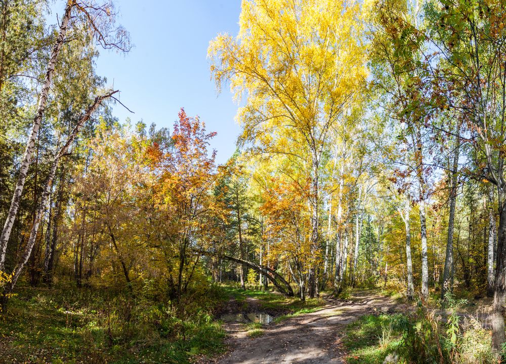 Photograph by Александр Лапшин