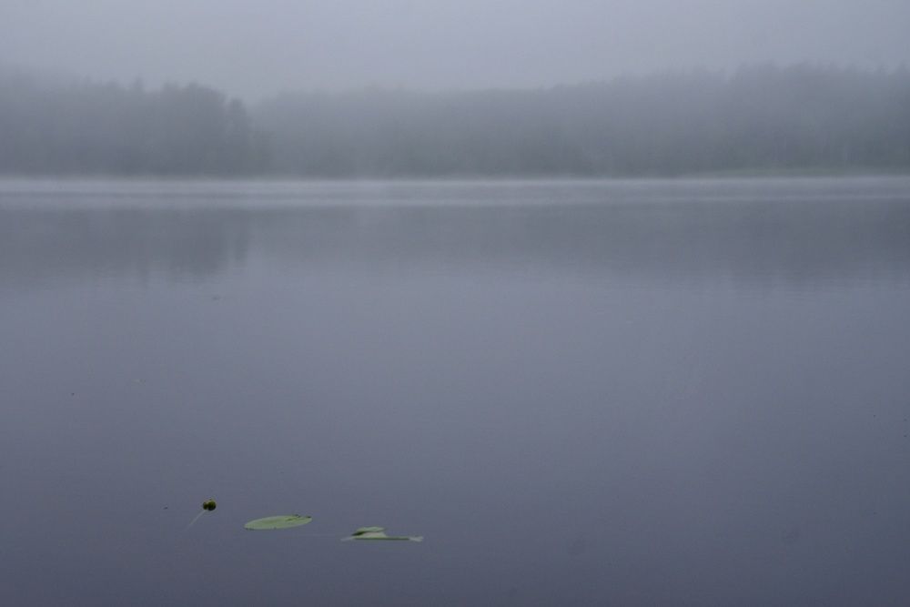 Photograph by Владимир Леликов-Кузьменко