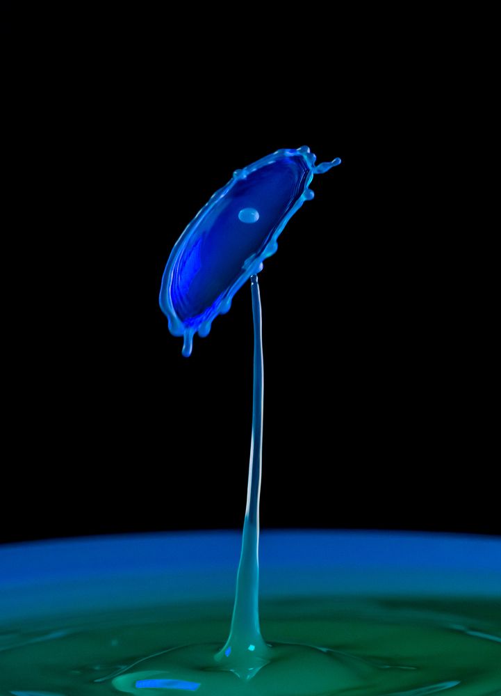 Photograph by Olga Link