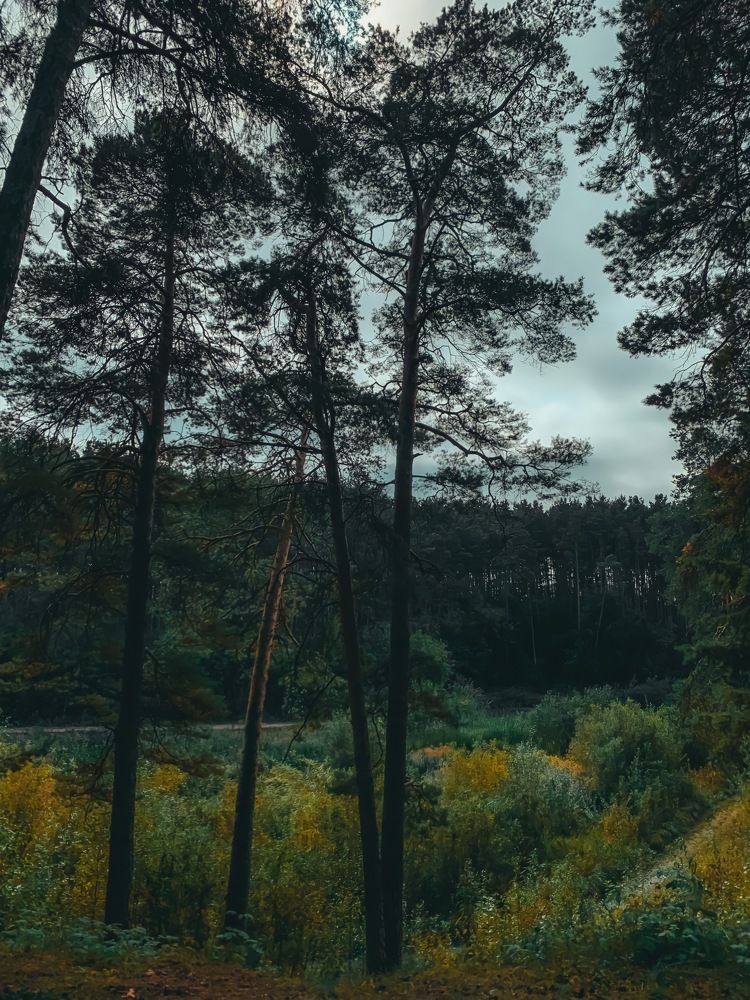 Photograph by Оксана Якименко