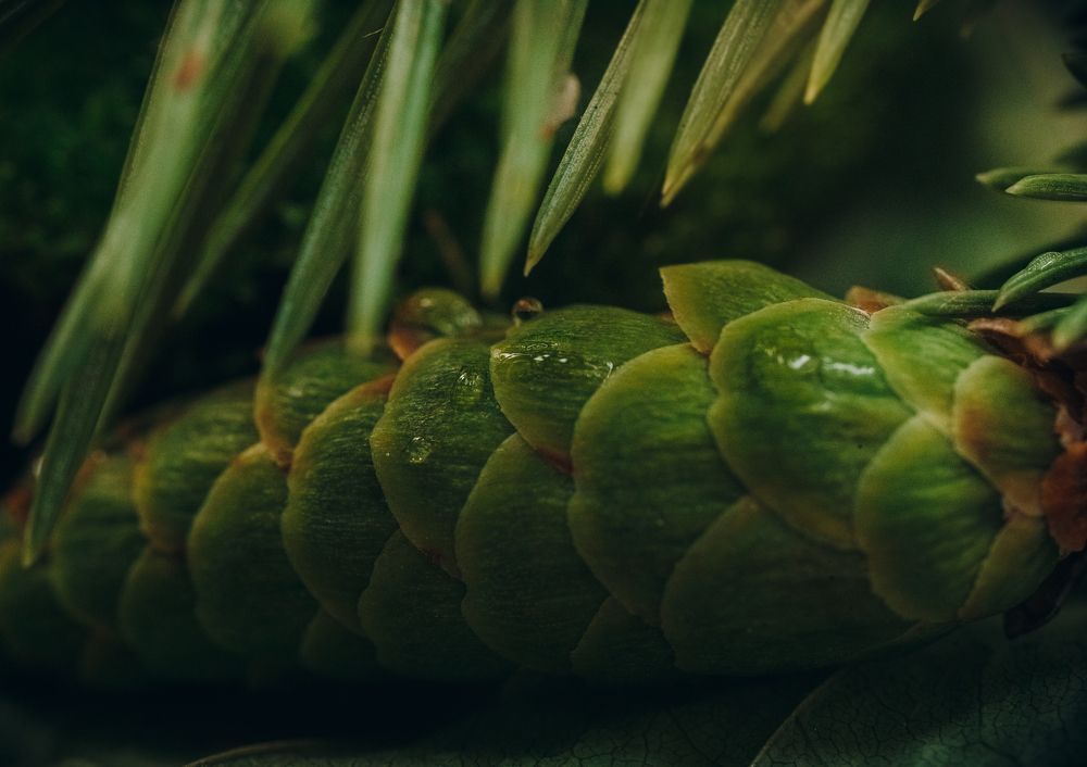 Photograph by Ольга Остапенко