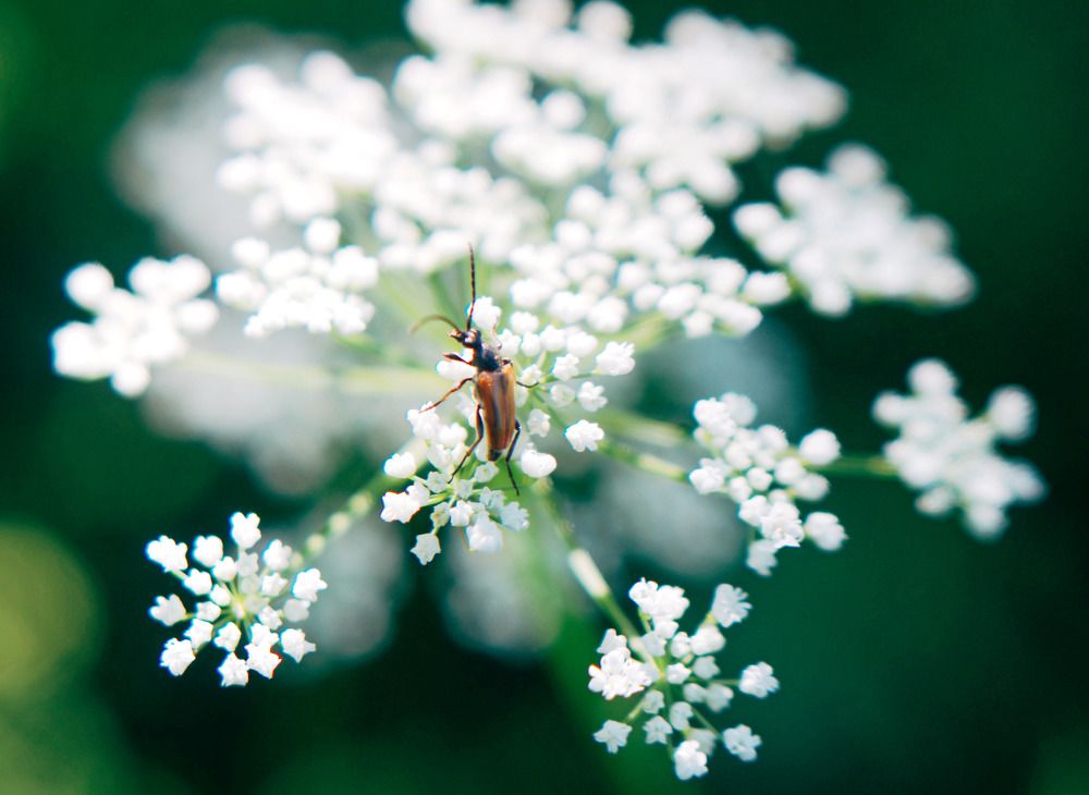 Photograph by Ербек Махмудбеков