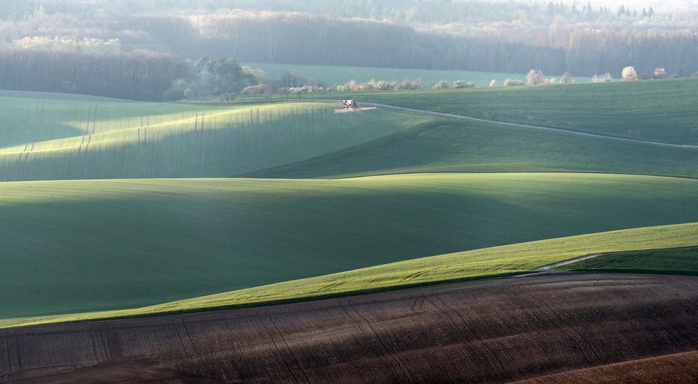 Photograph by Крицак Ольга