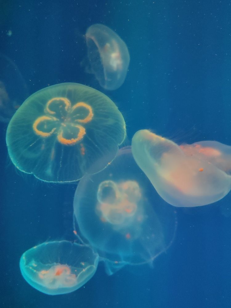 Photograph by Ольга Сучкова