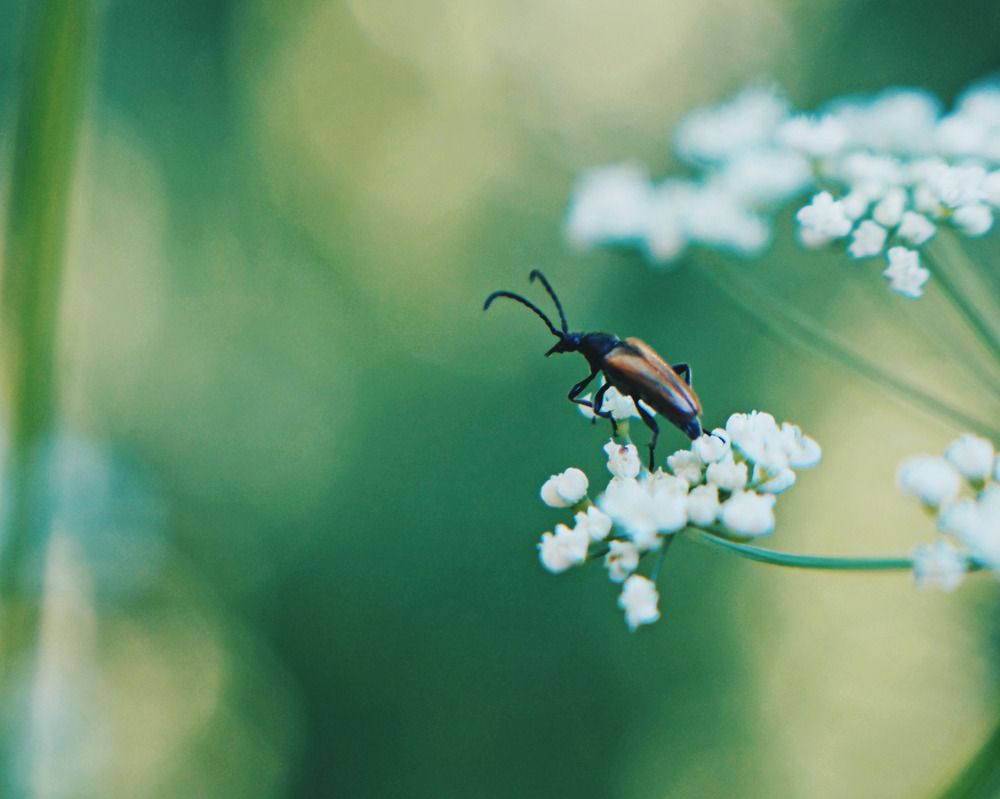 Photograph by Ербек Махмудбеков