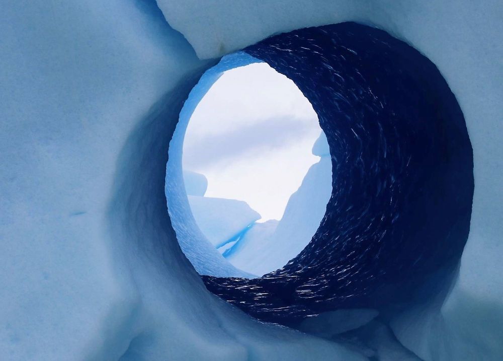 Фотография автора caroline martin (dony)