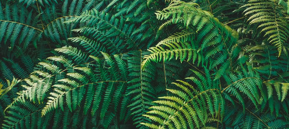 Фотография автора Elena Samusieva