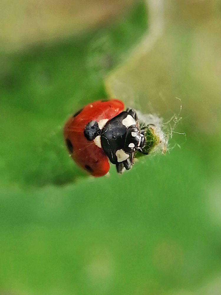 Photograph by Екатерина Абросова