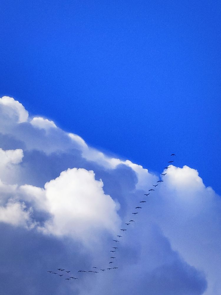 Photograph by Александр Кокурин