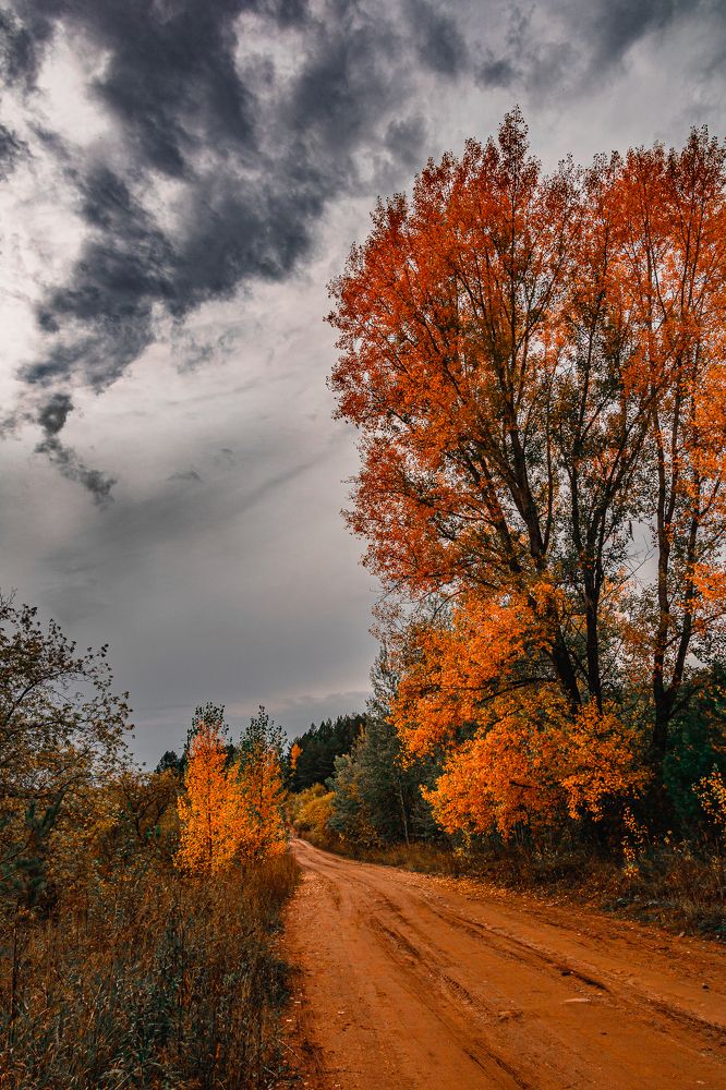 Photograph by Василий Лазарев