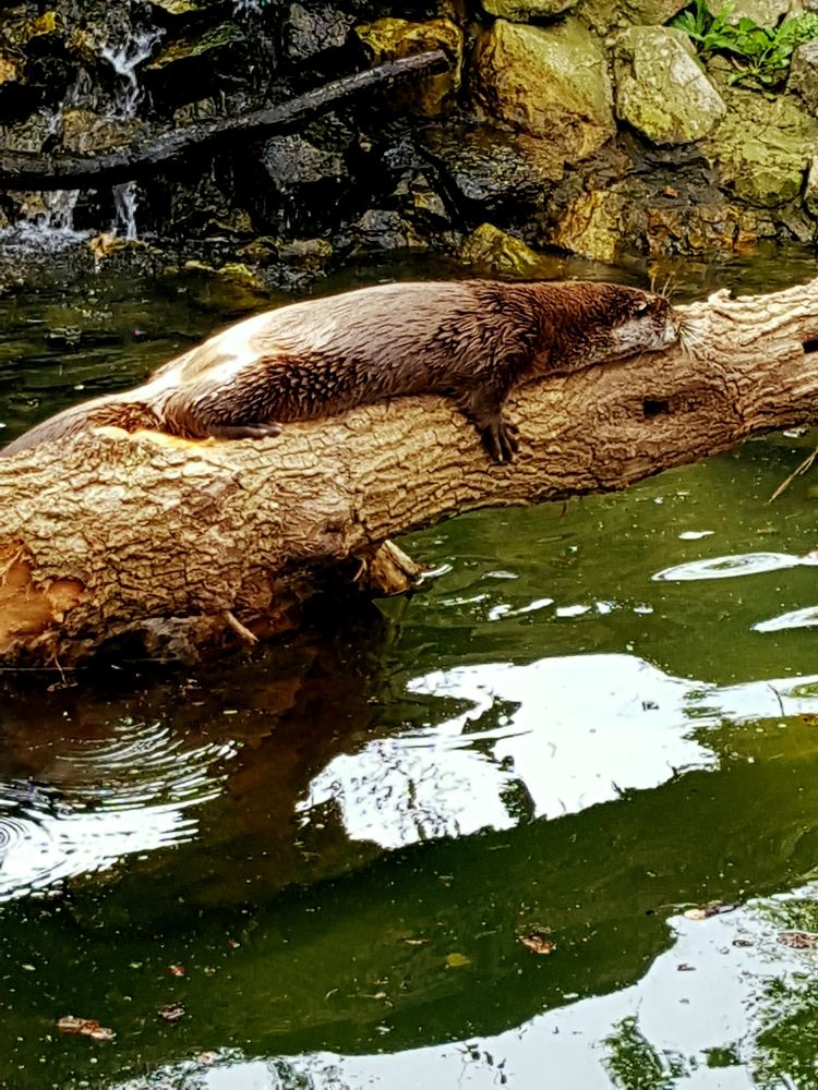 Photograph by Dmitrij Zykunov