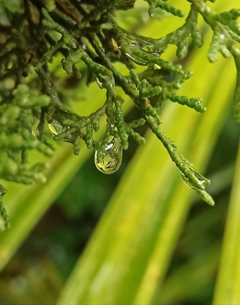 Photograph by Тихонова Ольга