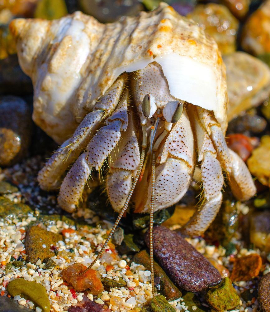 Photograph by Евгений Каримов