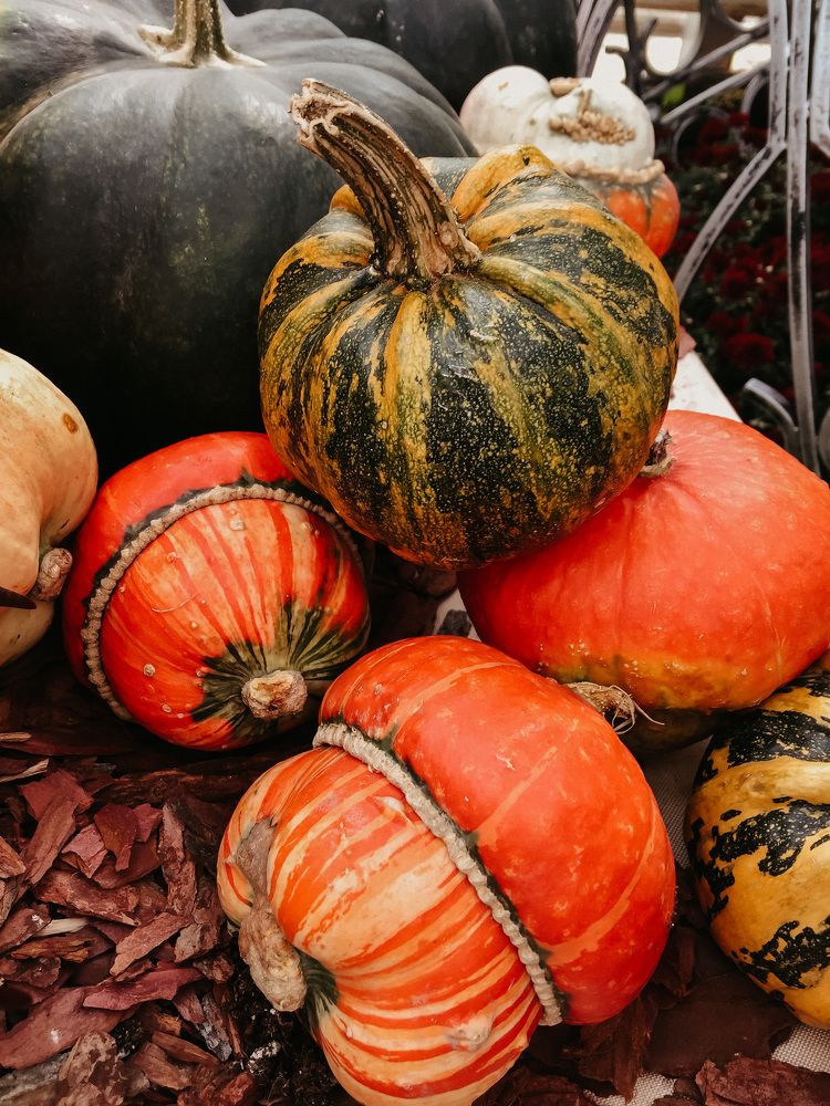 Photograph by Алиса Грюнвальд