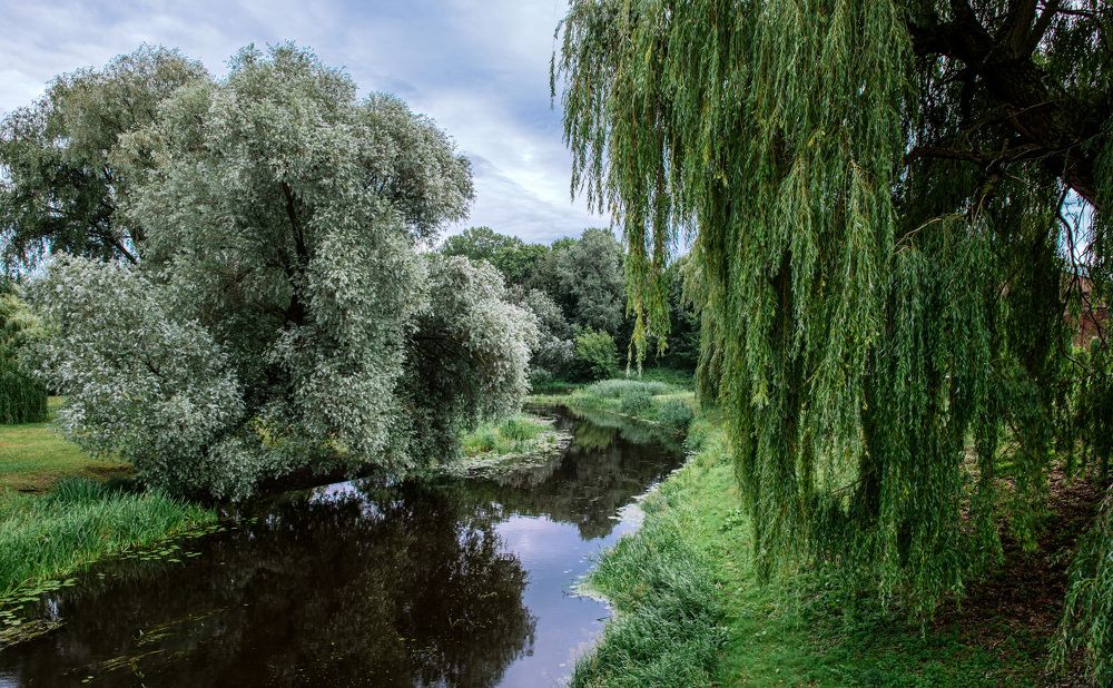 Photograph by Юлия Лис-а