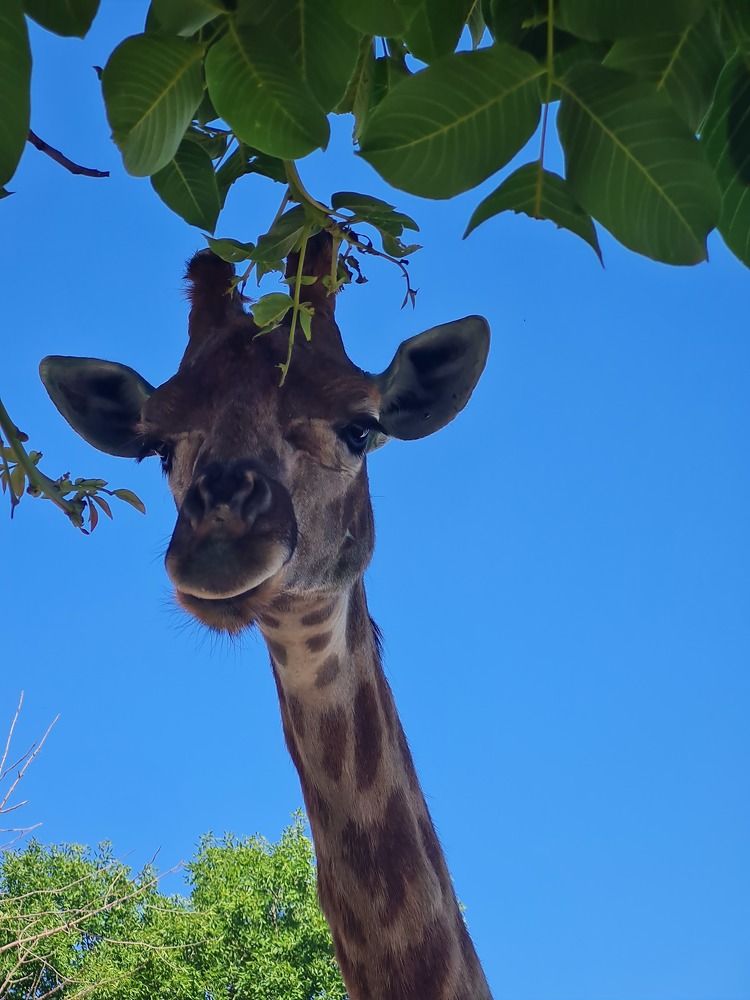 Photograph by Tatiana Denisova