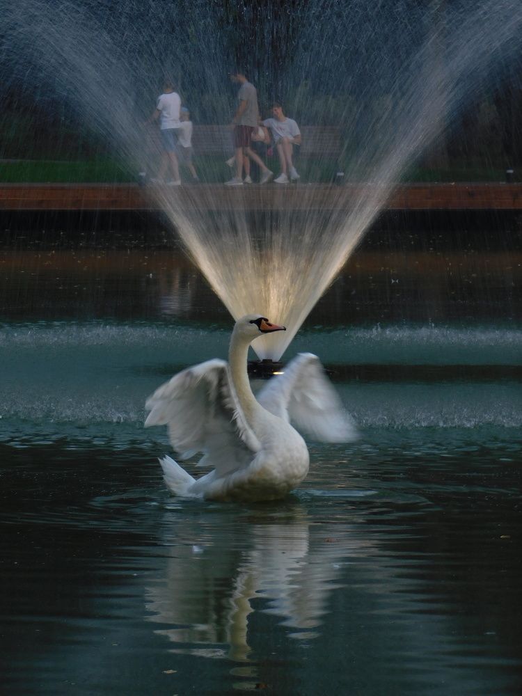 Photograph by Алена