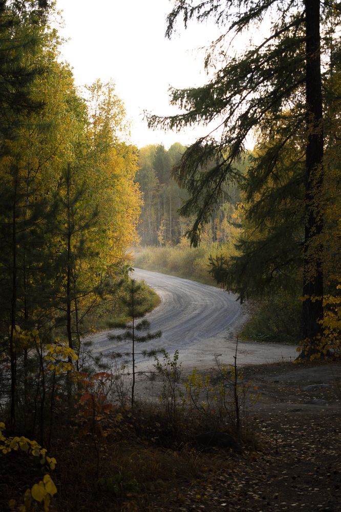 Photograph by Валерия Бебенина