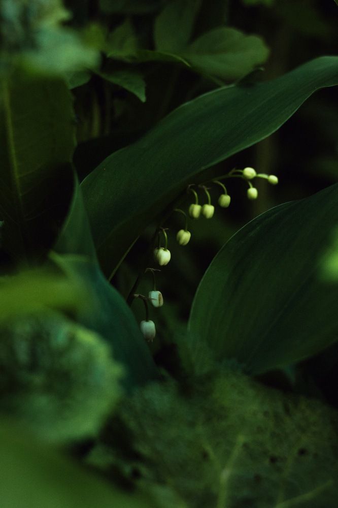 Photograph by Алиса Грюнвальд