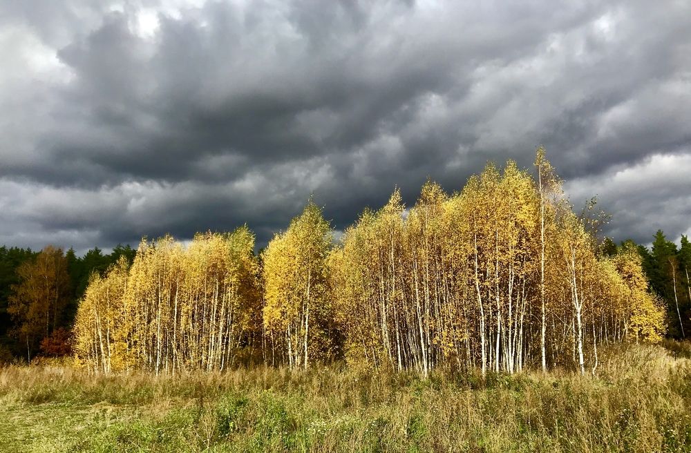 Тревожность